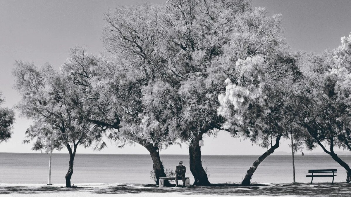 Фото: pxhere.com