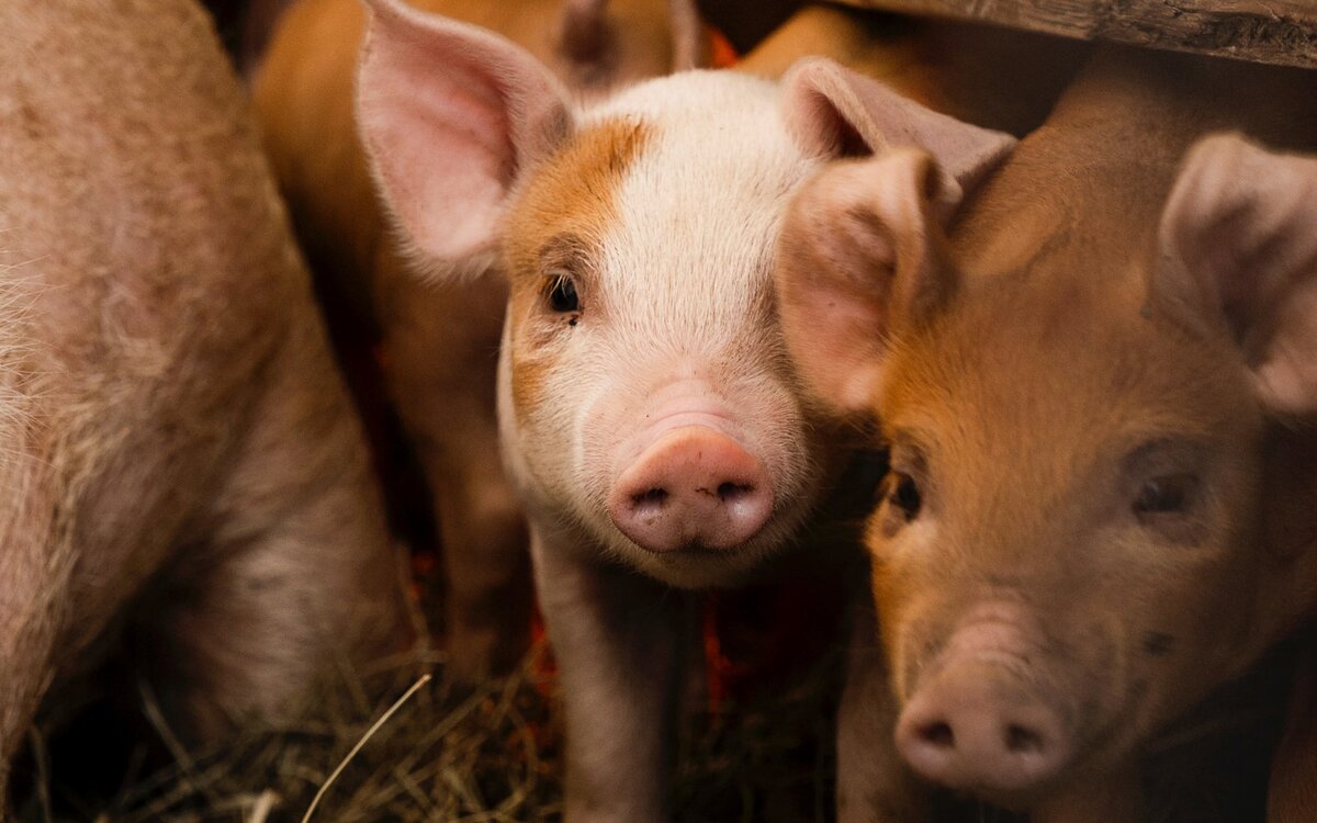 Photo by Zoe Schaeffer on Unsplash