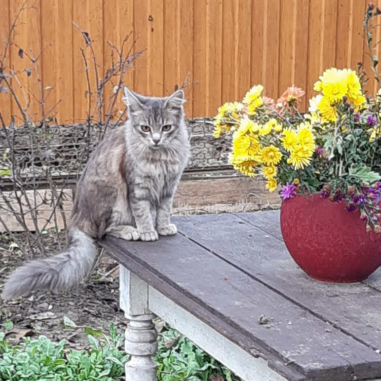 Что там она делает?