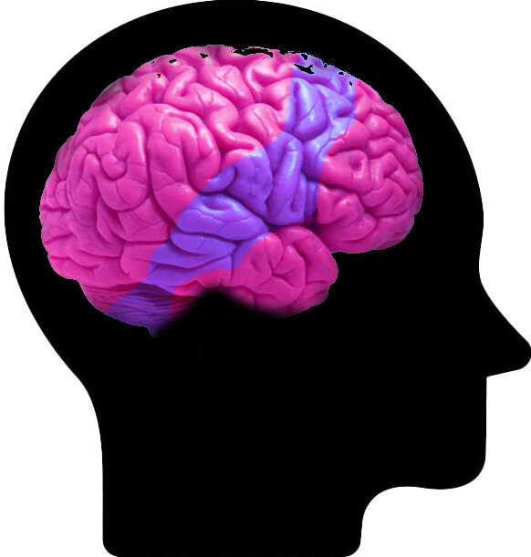 Яндекс картинки