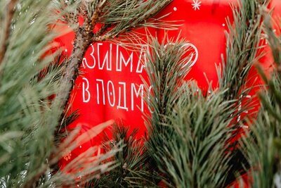    Пункт приема новогодних елок © Пресс-служба администрации г.о. Химки