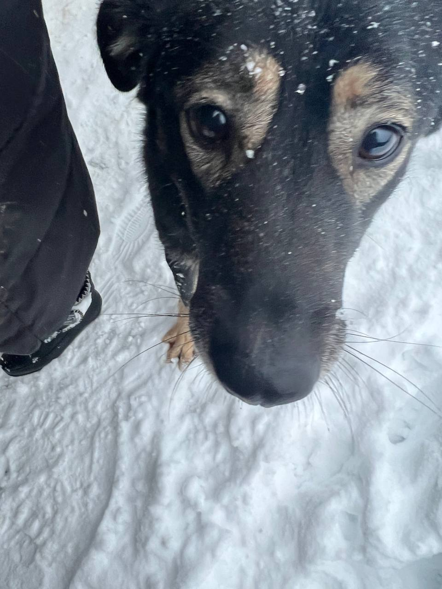 Арчунин нос говорит: "Давайте жить дружно, как бы не было трудно!".