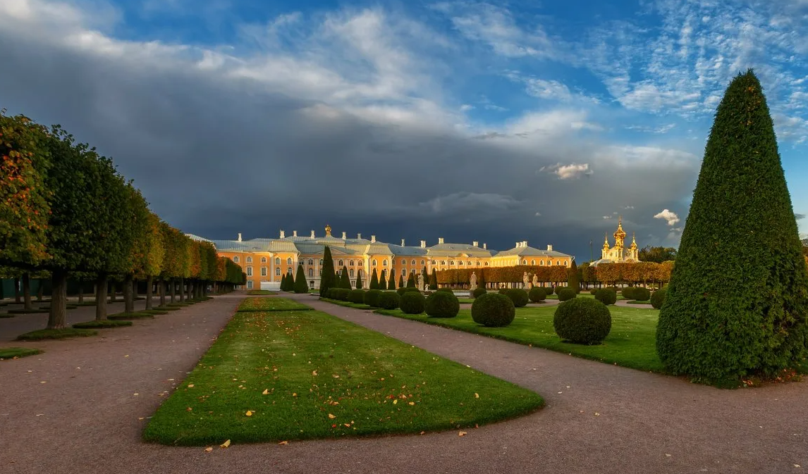 Яндекс картинки