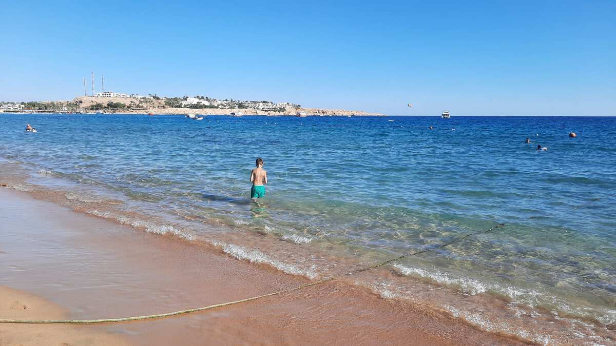 Погода шарм эль шейх вода