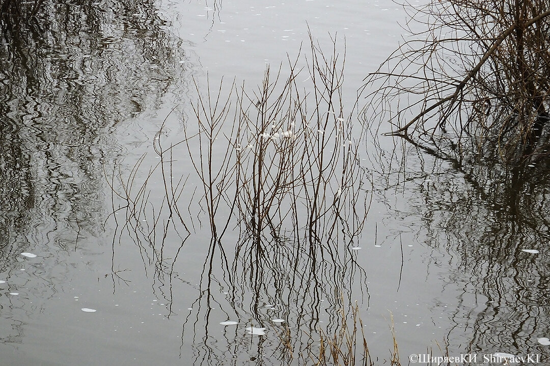 Куст для замера уровня воды в Оке. Уровень воды в Оке опускается. Хочу надеяться, что в ближайшее время Ока укрытие не затопит.
