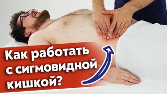 Как поддерживать сигмовидную кишку в порядке? Сигмовидная кишка человека.