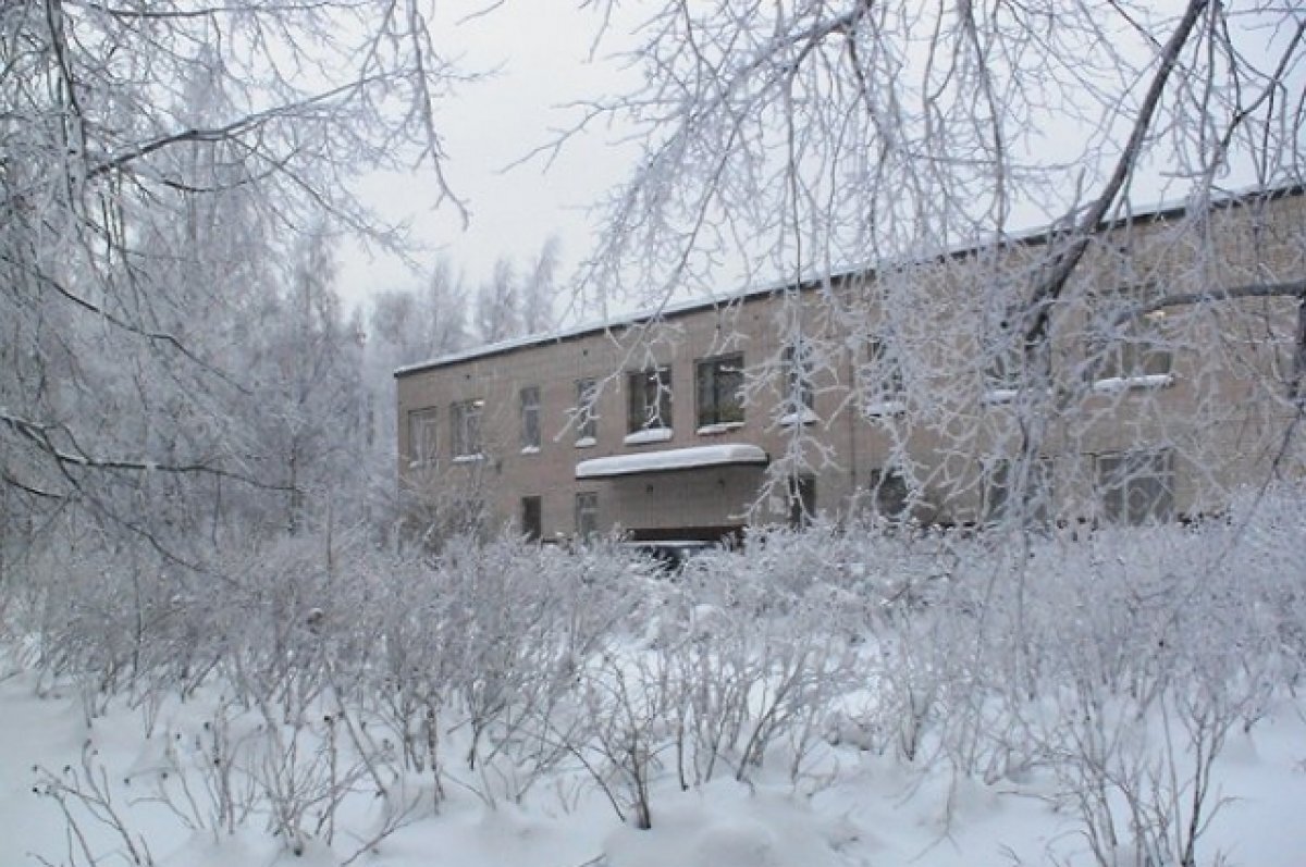    Родители учеников пытаются спасти уникальную школу в Петербурге