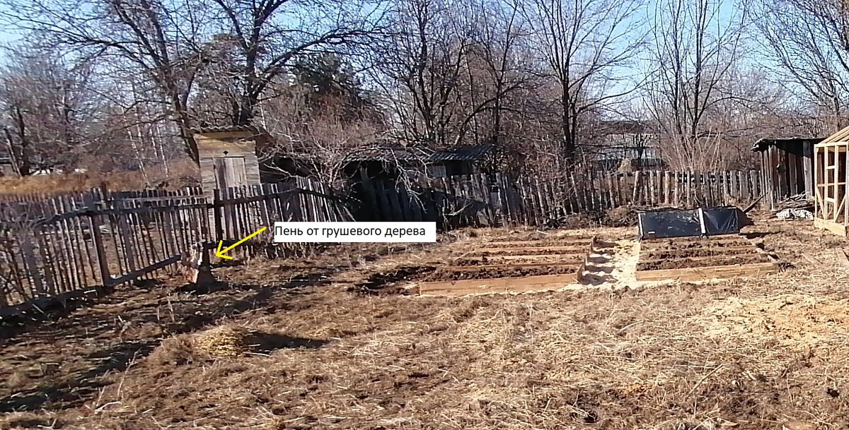 Доброго времени суток, дорогие друзья! Сегодня расскажу, как мы боролись с пнями на нашем участке.