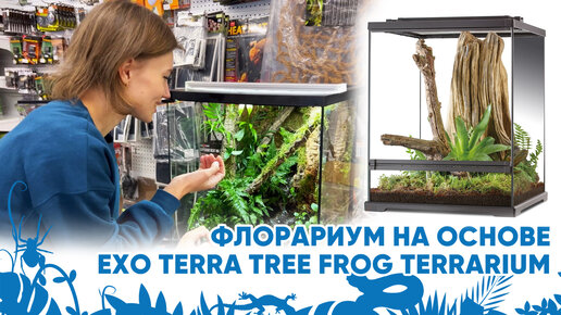 Флорариум на основе объема EXO TERRA FROG TERRARIUM 🐸