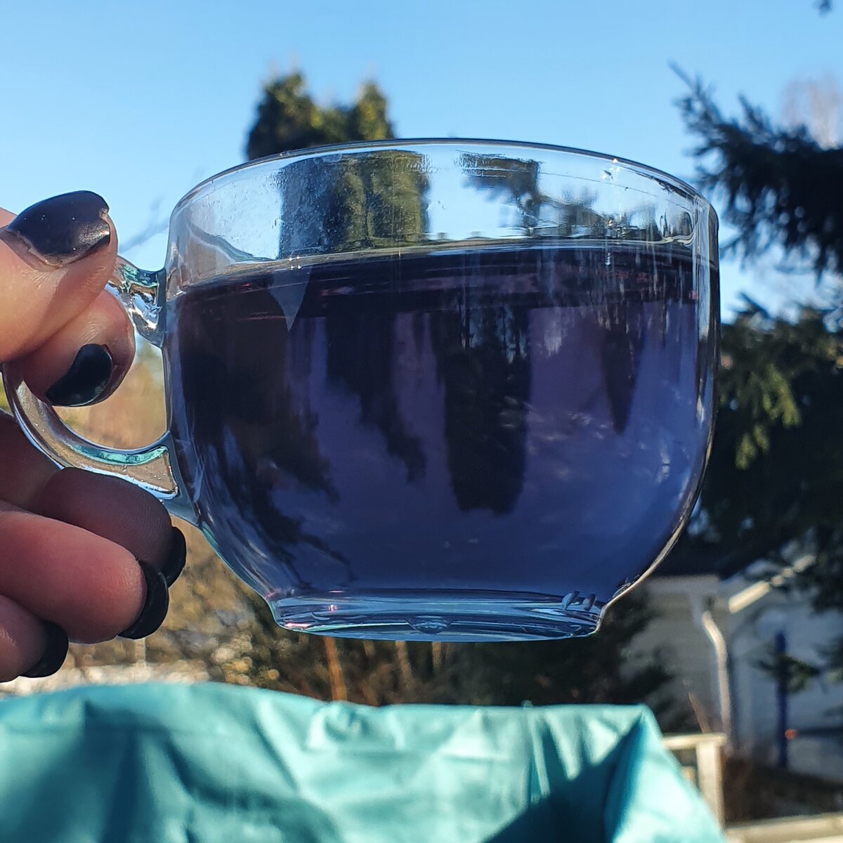    И лишь поднявшись к небу их высочества соизволили показать свой истинный облик!