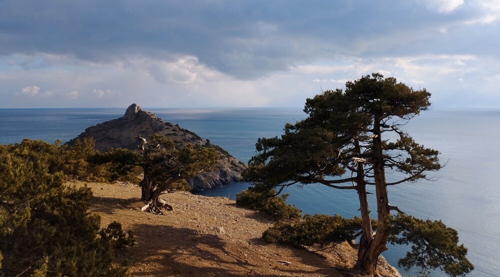 Новый свет Крым часовня Луки Крымского