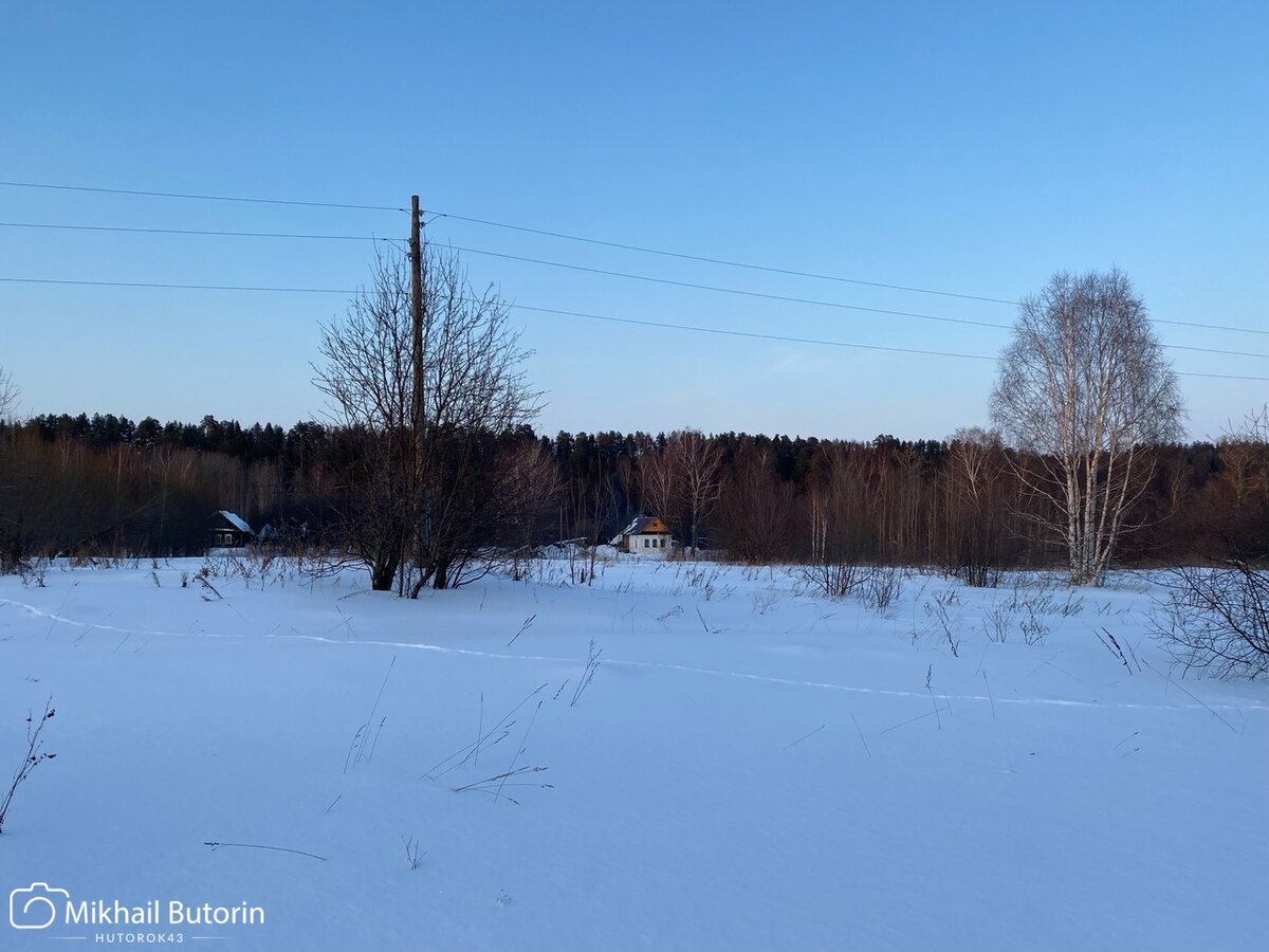 Улучшаю потолок в бревенчатой пристройке. Думы над его цветом | Вятский  Хутор | Дзен