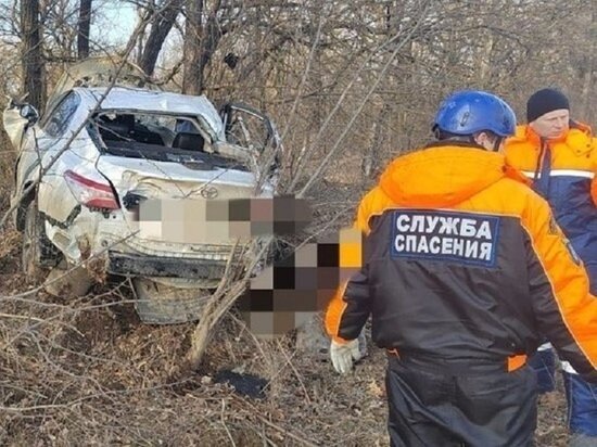     ФОТО: ГИБДД СТАВРОПОЛЬЯ