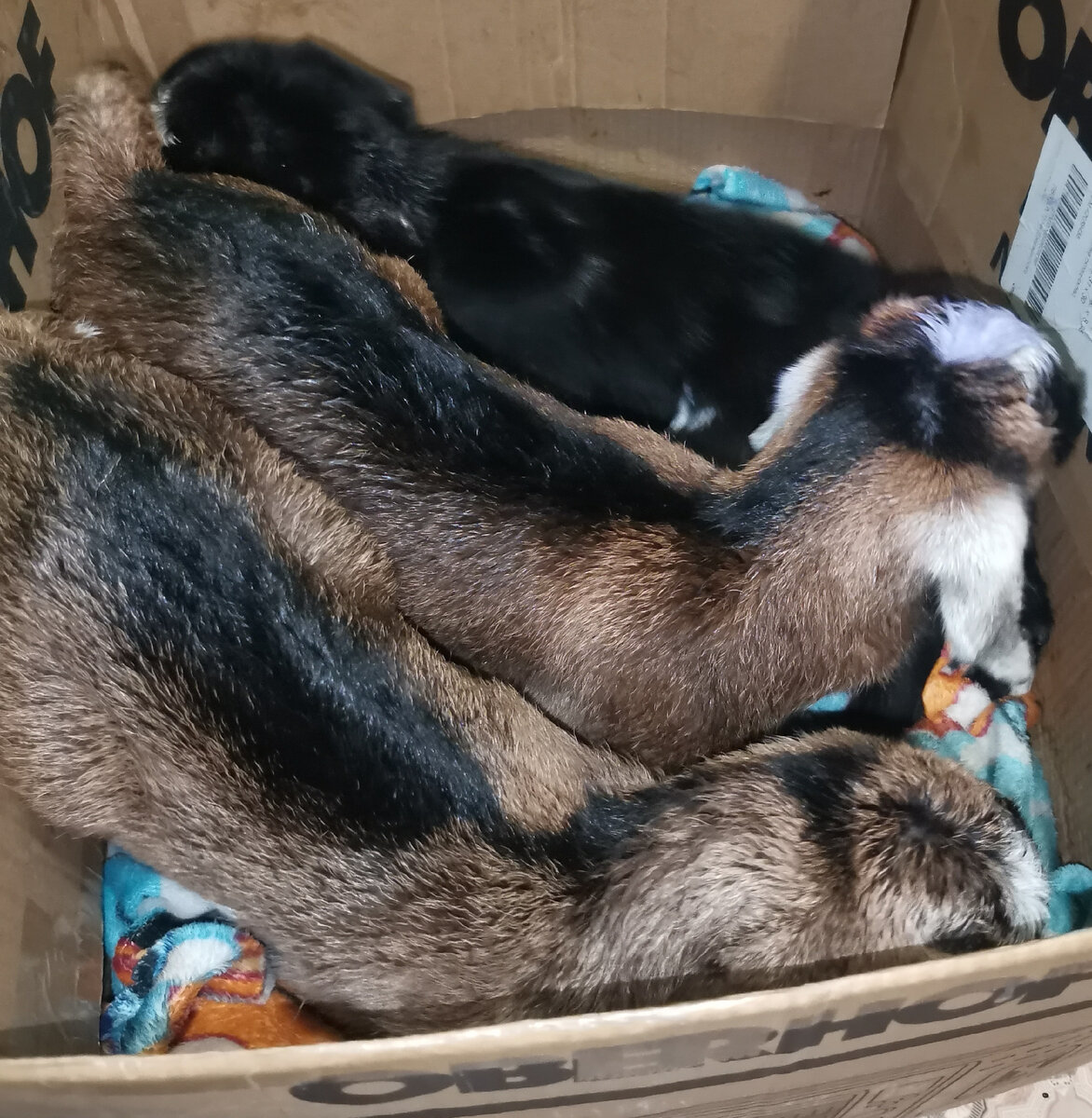 Ещё не обсохли