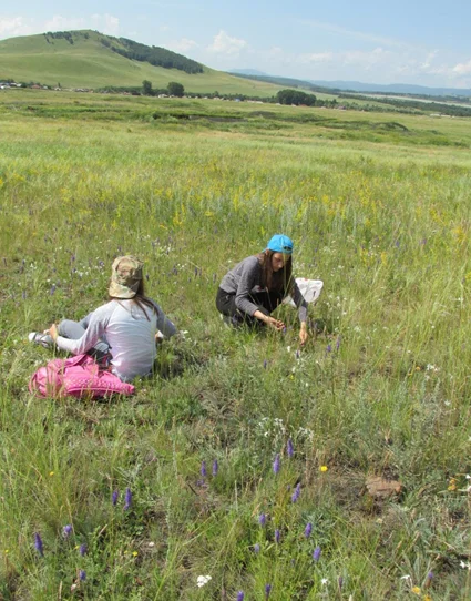 Степь и Леоновские горы