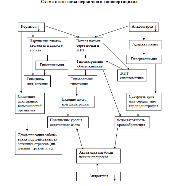 Схема болезней. Болезнь Аддисона патогенез схема. Аддисонова болезнь патогенез. Патогенез хронической надпочечниковой недостаточности. Синдром Аддисона патогенез.