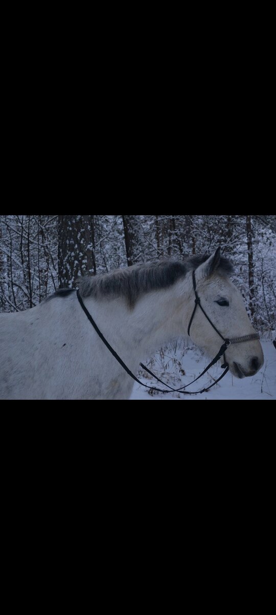 Валет