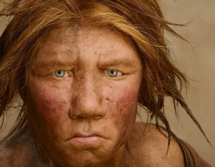 Эта реконструкция женщины-неандертальца была сделана с использованием данных древней ДНК. Наши древние предки были похожи на современных людей, но с более выступающими бровями, большими зубами и глазами. Ученые считают, что они также были умнее, чем мы думали изначально.