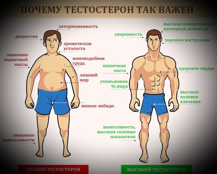 Тестостерон