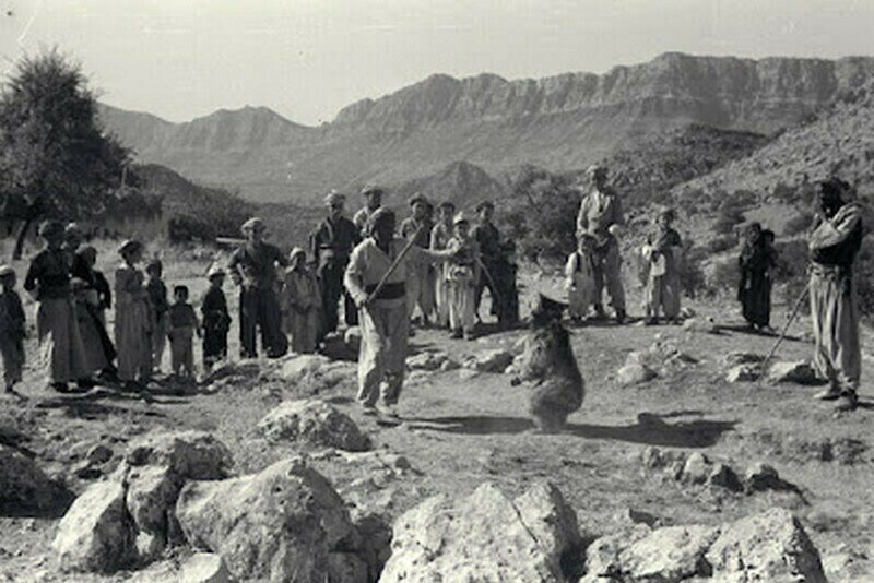    Фото: horinca.blogspot.com