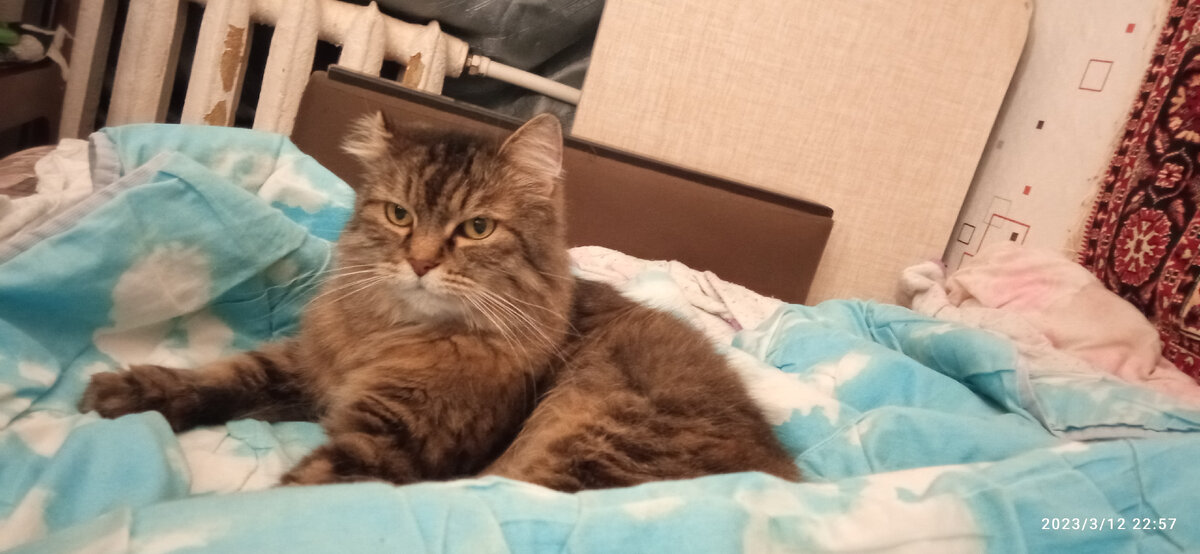 Наелся, ждёт меня. 