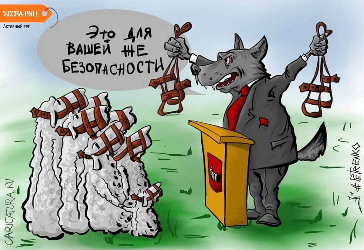 Яндекс картинки