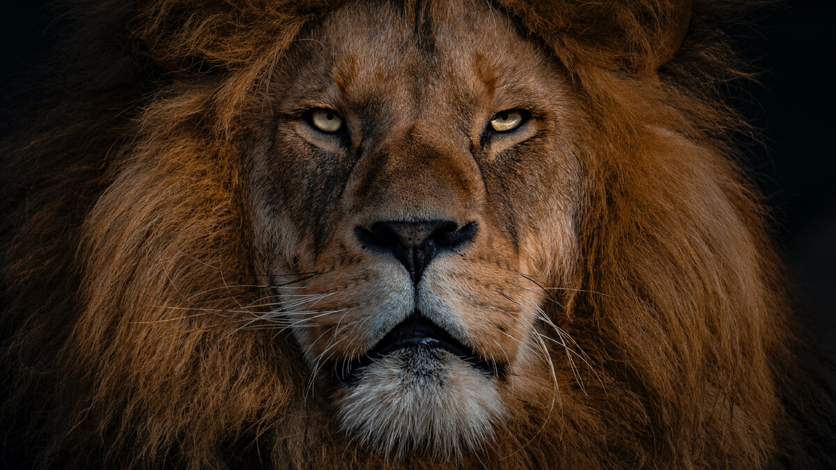 Фотография автора Ingo Stiller была взята с сайта Unsplash