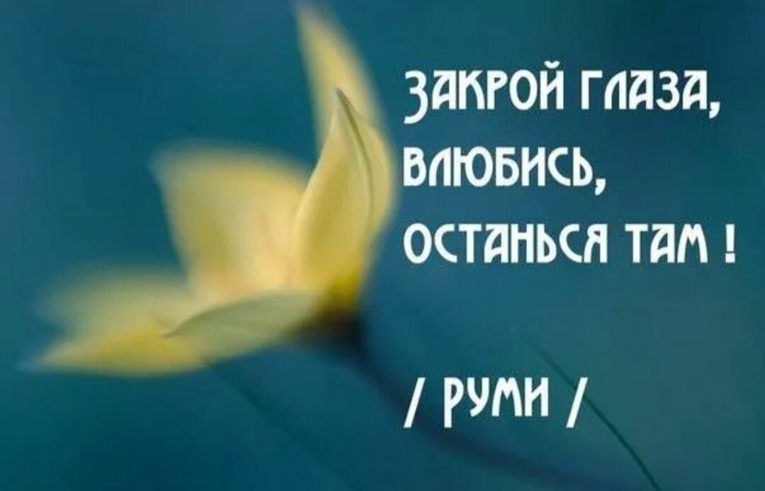 в жизни длиною в полвздоха не планируй ничего кроме любви руми. шерри боббинс открытки. в жизни длиною в полвздоха не планируй ничего кроме любви руми. джалаладдин руми цитаты. в жизни длинной в полвздоха.
