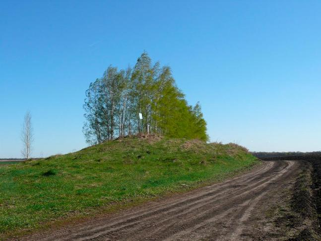 Эта неприметная дорога в поле  Белгородской области и есть грозный татарский шлях