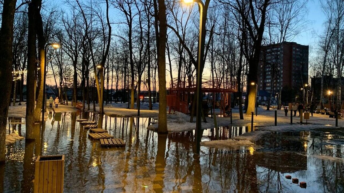 Люди поставили в парке скамейки и деревья