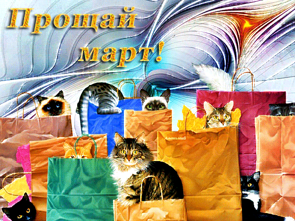 Без комментариев