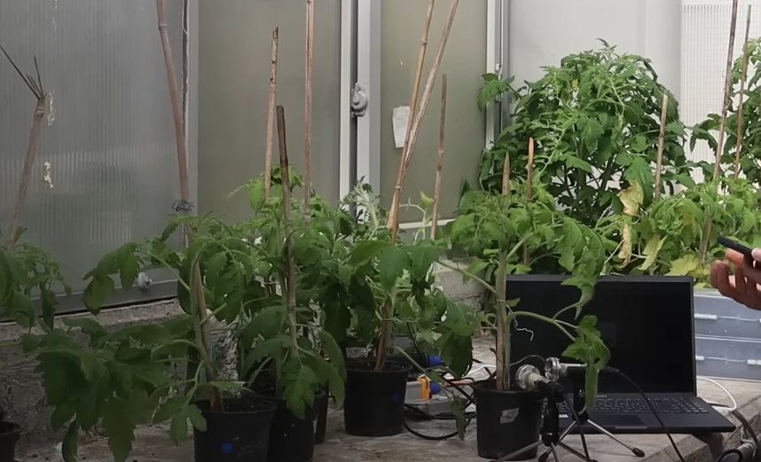 Фото: https://youtu.be/hOWaXi0I2YE