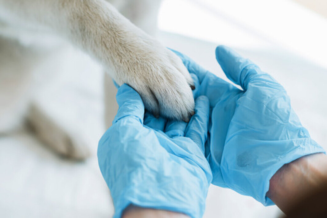 источник Яндекс-картинки