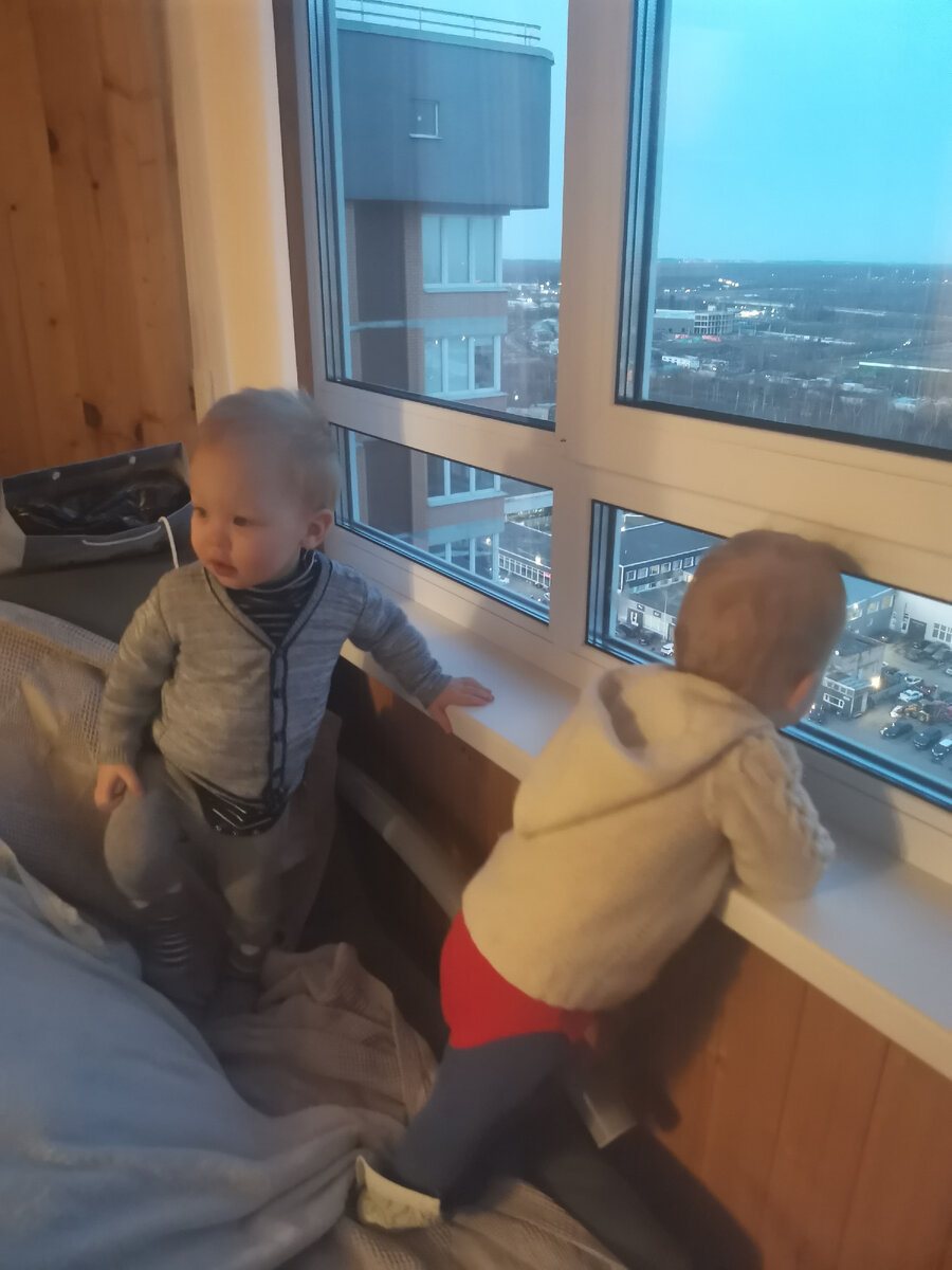 Изучают пейзаж за окном 