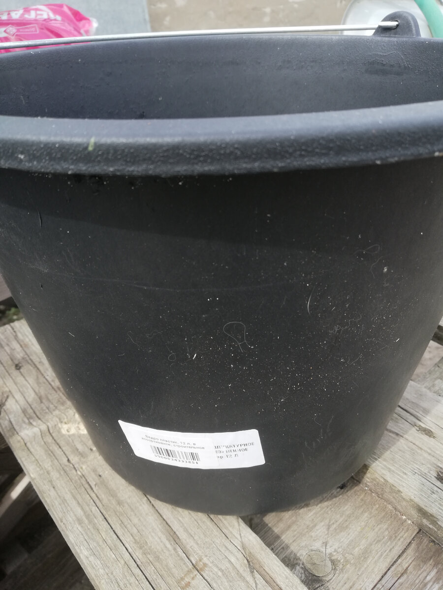 Моя любимая тара для посадки - строительное 12-литровое ведро