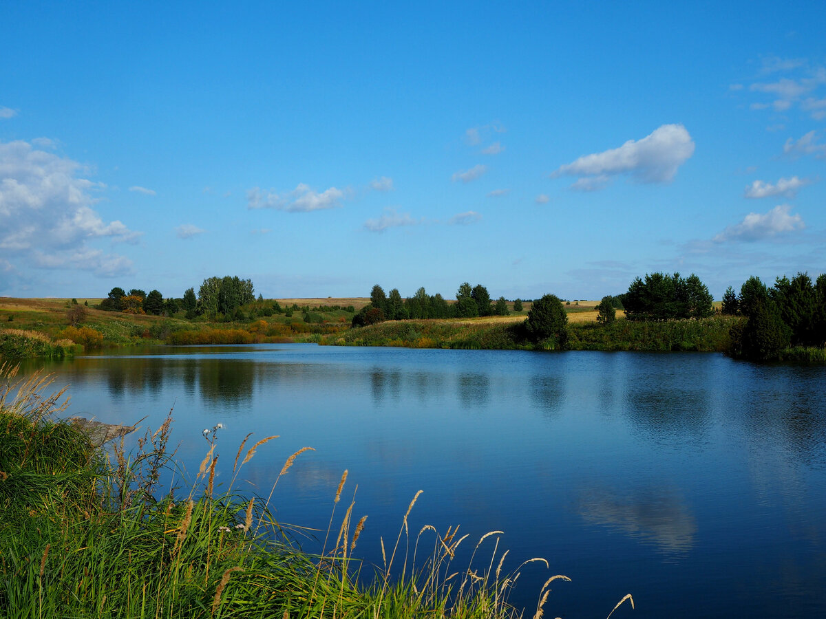 Фото автора.