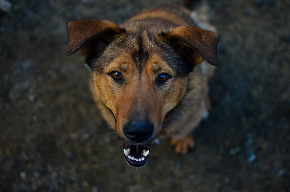 Фото: Татьяна Уфимцева / Фонд Ройзмана