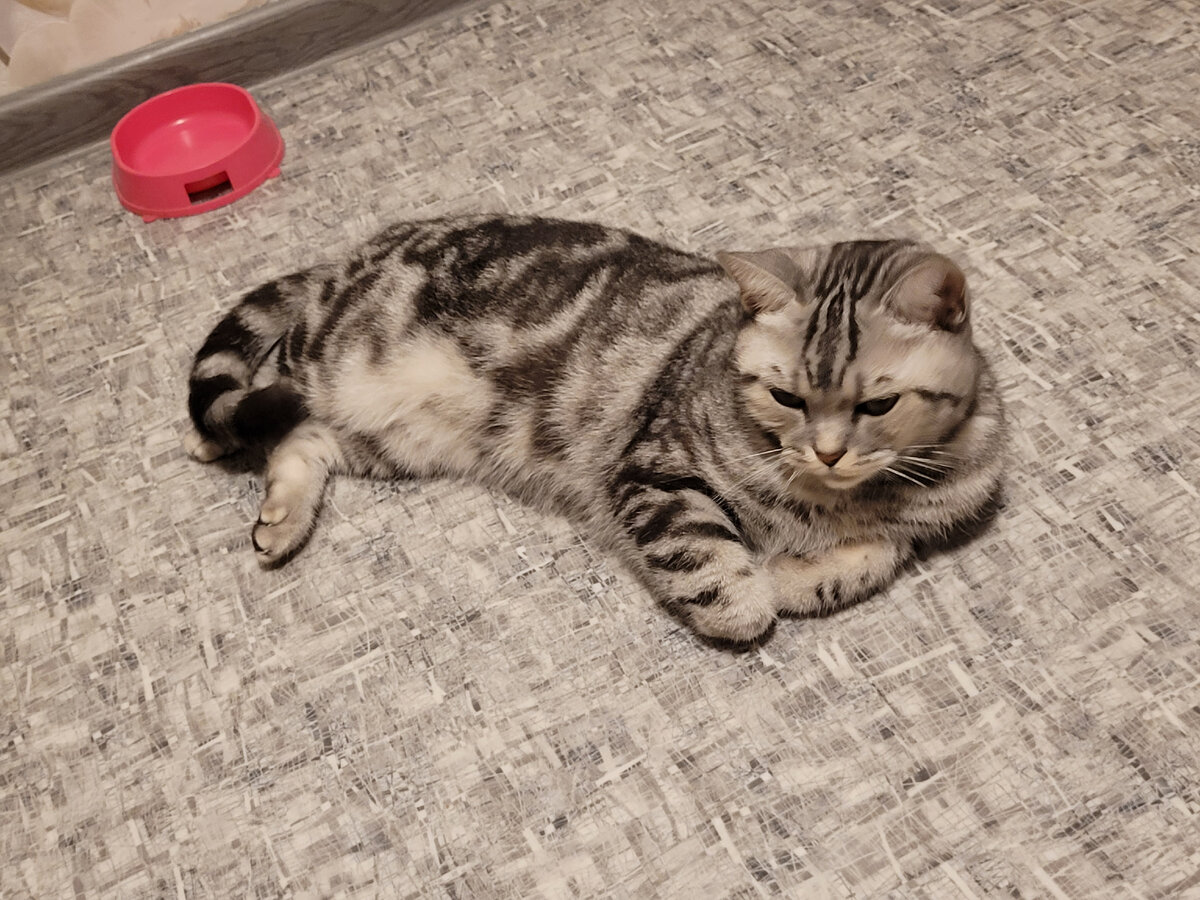 Так-с что ж сделать то...