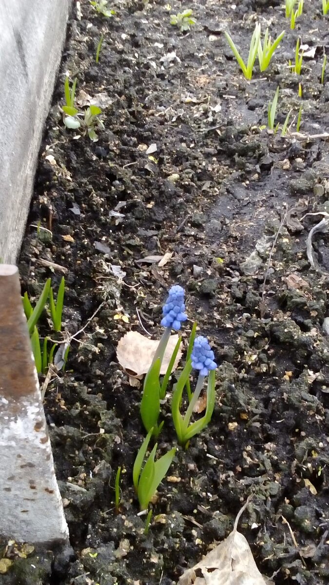 Одним словом началась весна