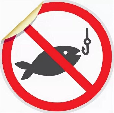 Нерестовый запрет. Оформление статьи. Яндекс картинки