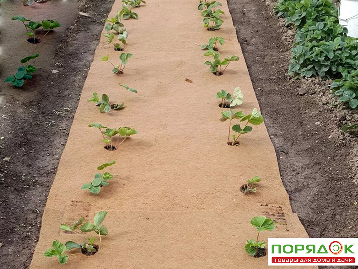 Ставьте лайк и подписывайтесь на наш канал! 