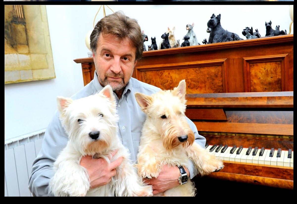 Знаменитые белые швейцарские овчарки – идеальные актеры и верные друзья знаменитостей