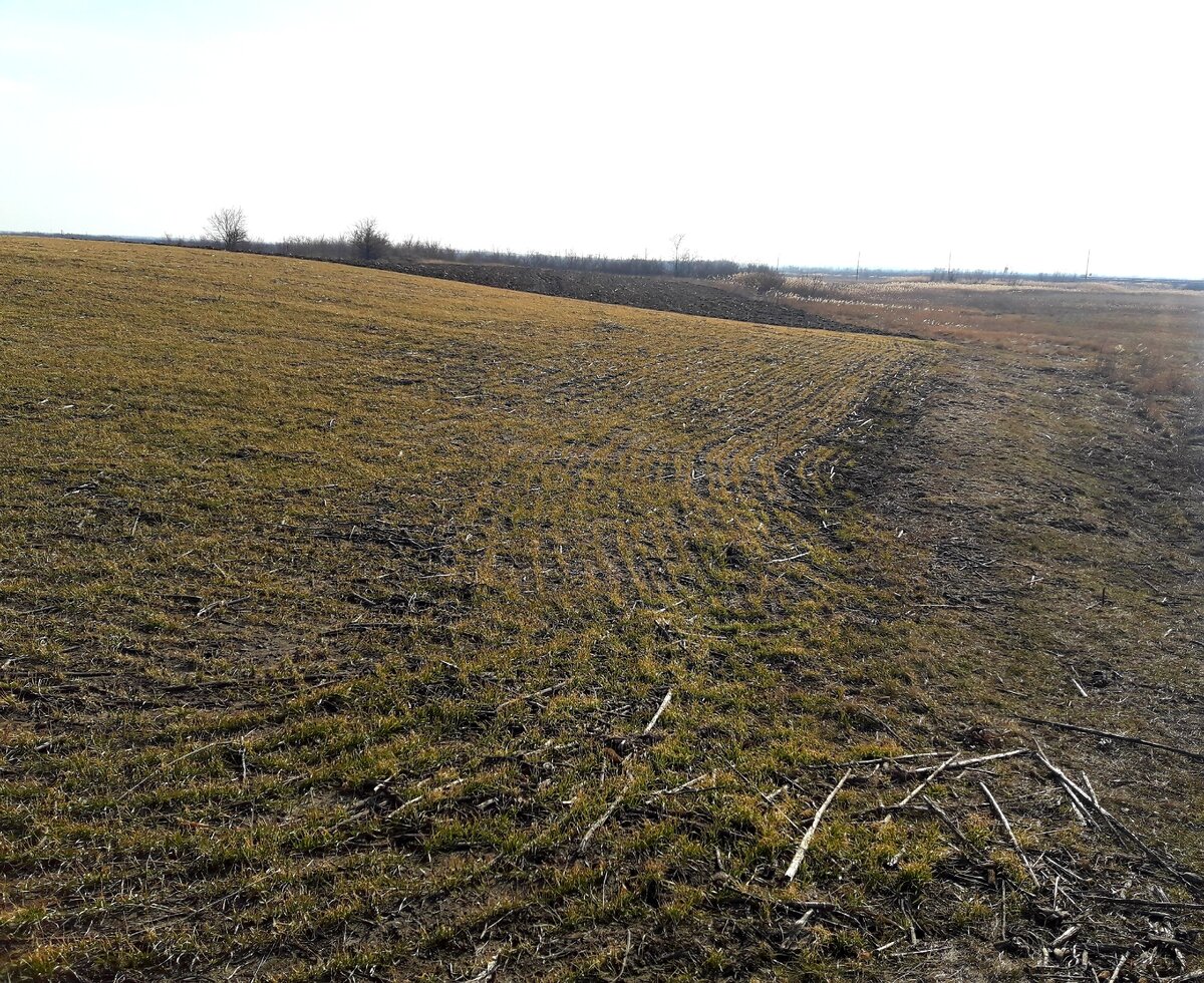 Здесь была деревня царского периода. Фото автора