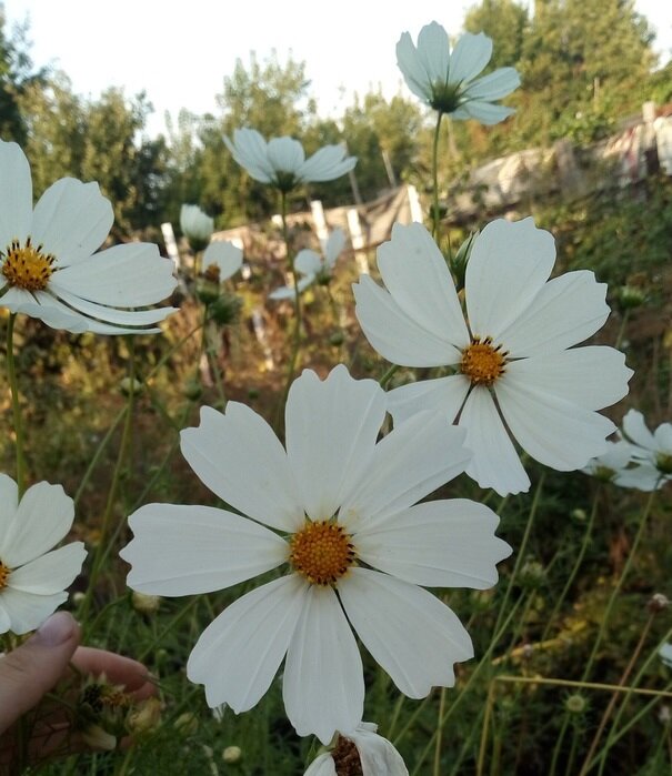 И всё-таки мир прекрасен! 