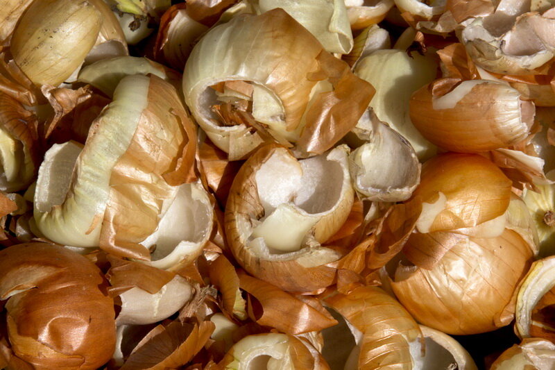  Луковая шелуха. Иллюстрация для статьи используется по стандартной лицензии ©dachnyedela.ru