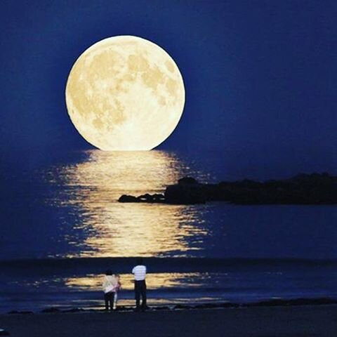 Время определиться...