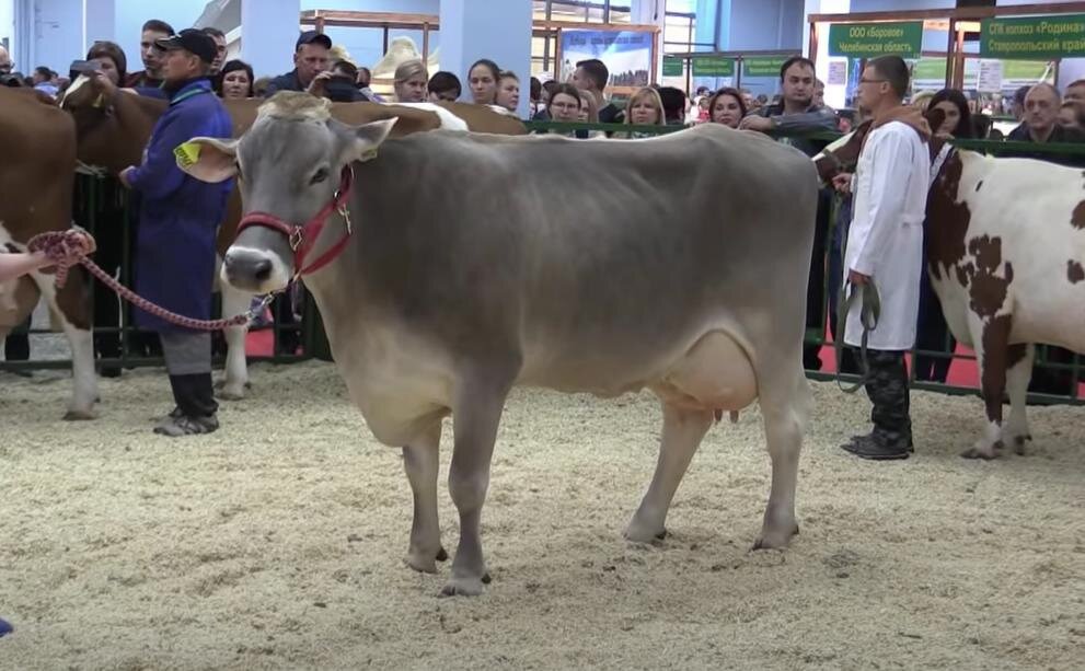 фото Fermer.ru ©