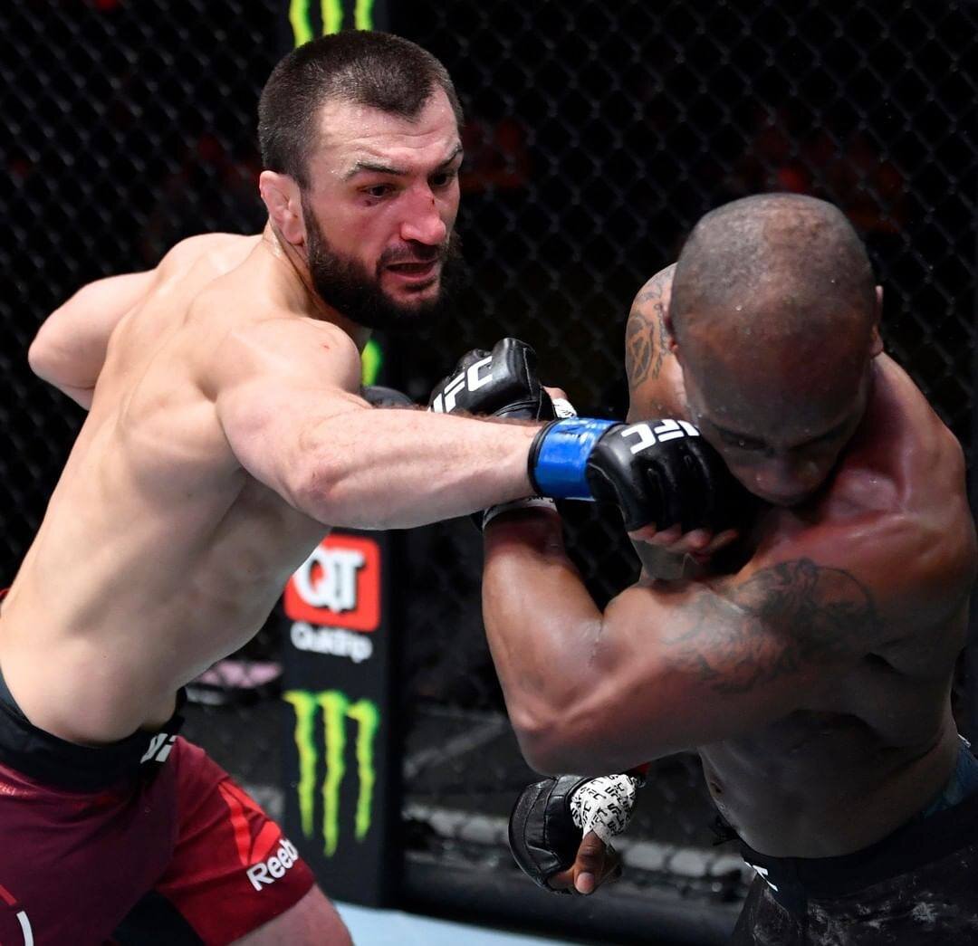 последний бой хабиба нурмагомедова год в ufc