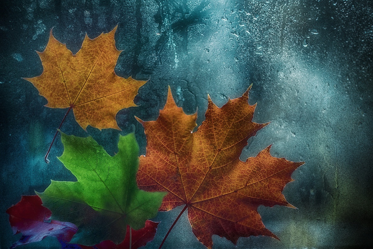 Автор изображения и стихотворения: Юлия Щербакова (Julietta Shcher). Снято на Nikon d800 + Helios 44-2. Кому интересно узнать как обрабатывалась данная фотография, то скачивайте январско-февральский номер журнала  на сайте PhotoCASA.