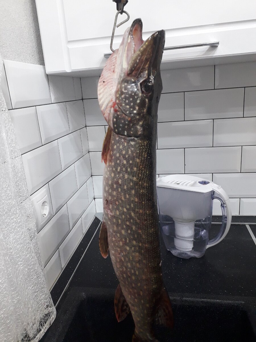 Из личного архива